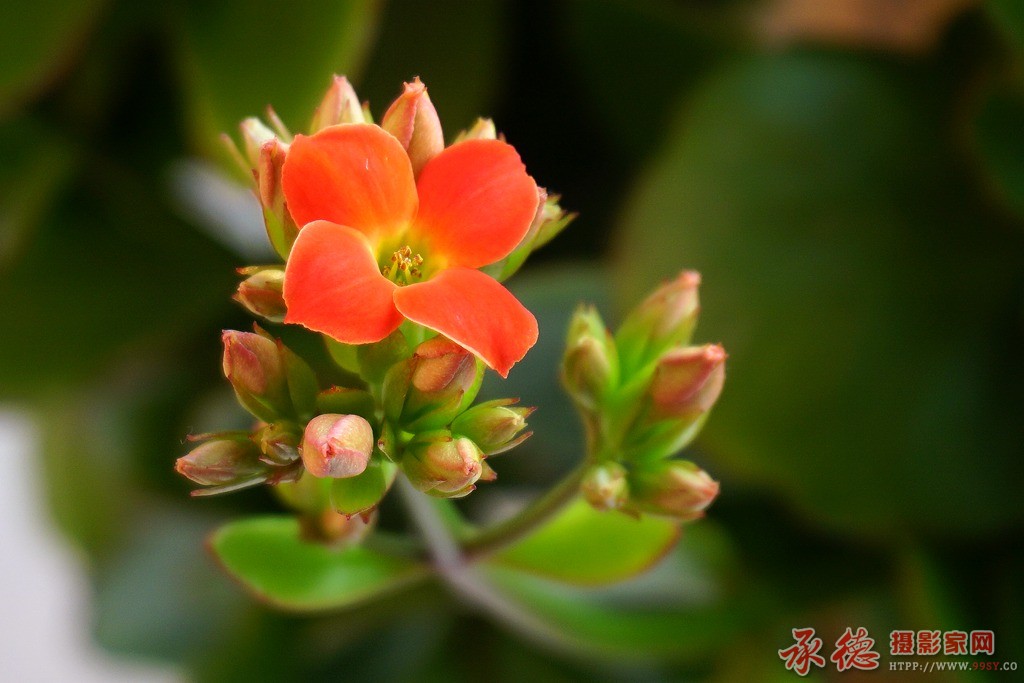 DSC00010_副本.jpg
