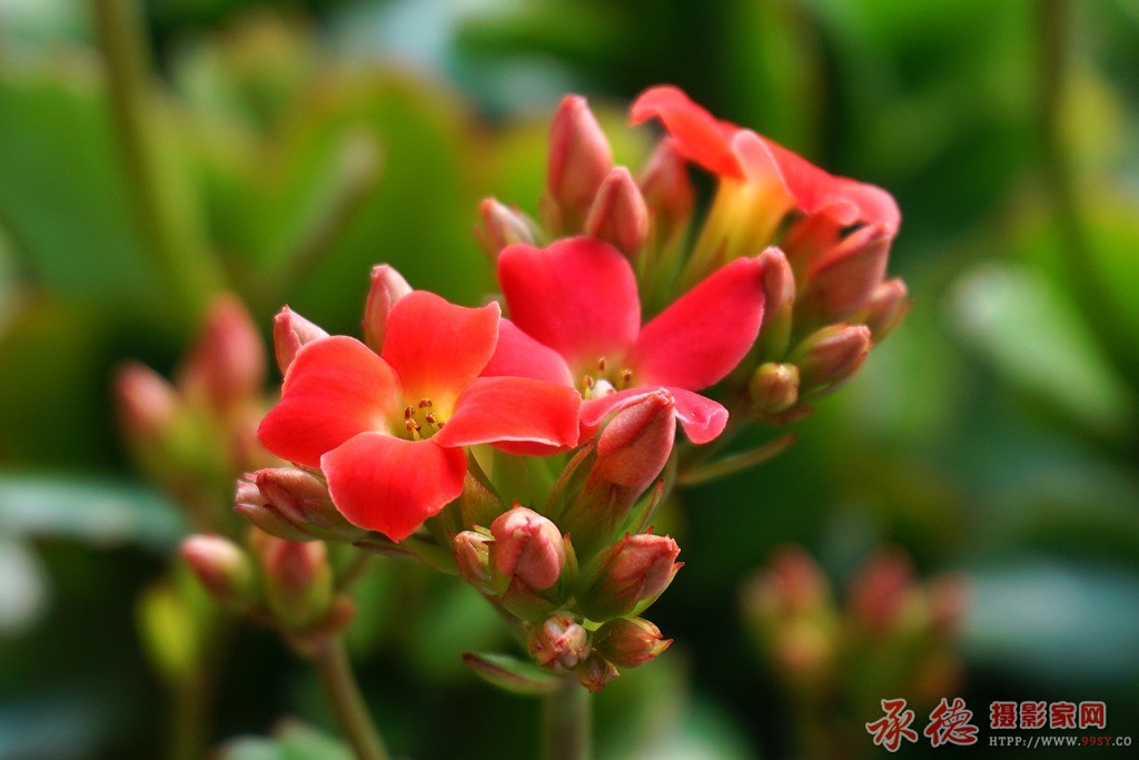 DSC00003_副本.jpg