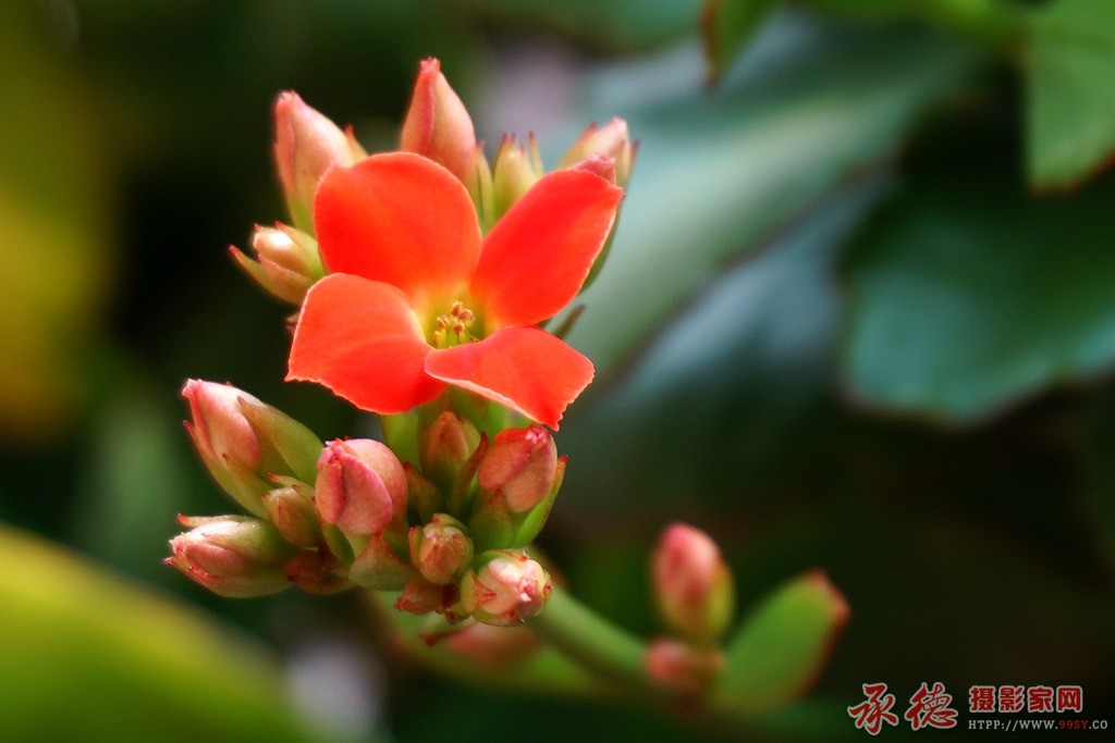 DSC00011_副本.jpg