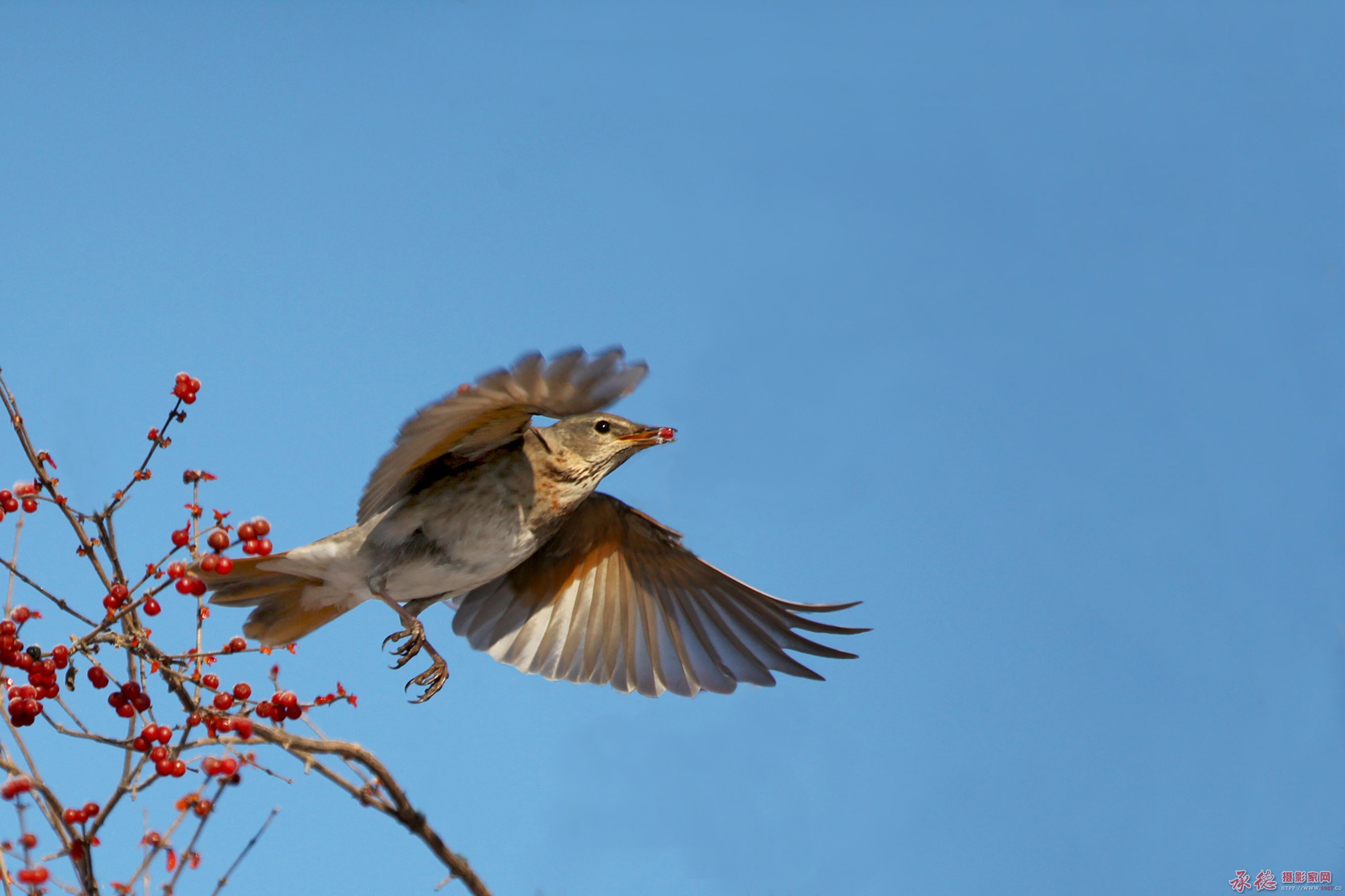 IMG_0516副本副本.jpg