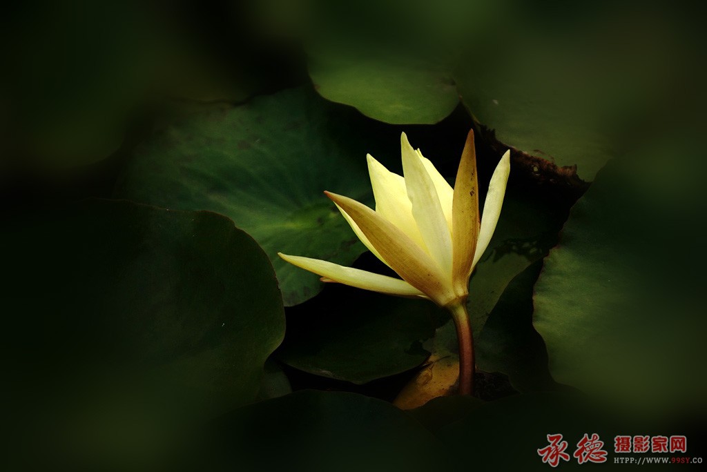 DSC04525_副本.jpg