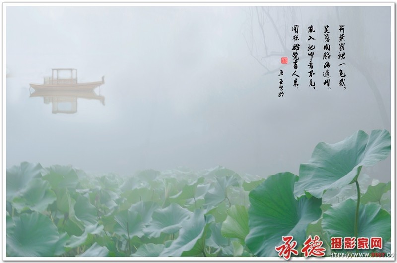 138   【2016荷赛】 荷情荷意 - 自然而然.jpg