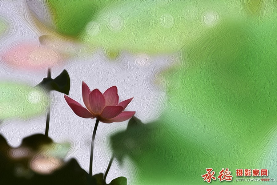 240【 2016 荷 赛 】   水 中 花   心灵舞动.jpg