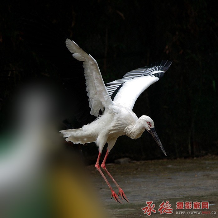 IMGP0018_副本.jpg