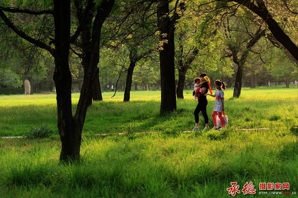 104431f9cgjcckovo6klll.jpg五月的黄昏-风之语.jpg
