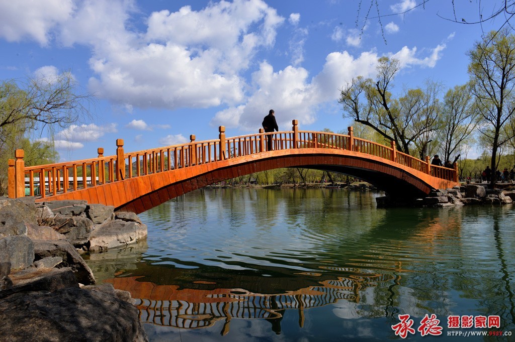 111937lko5dlqe1z0wkwnq.jpg留在春光里-北陵.jpg