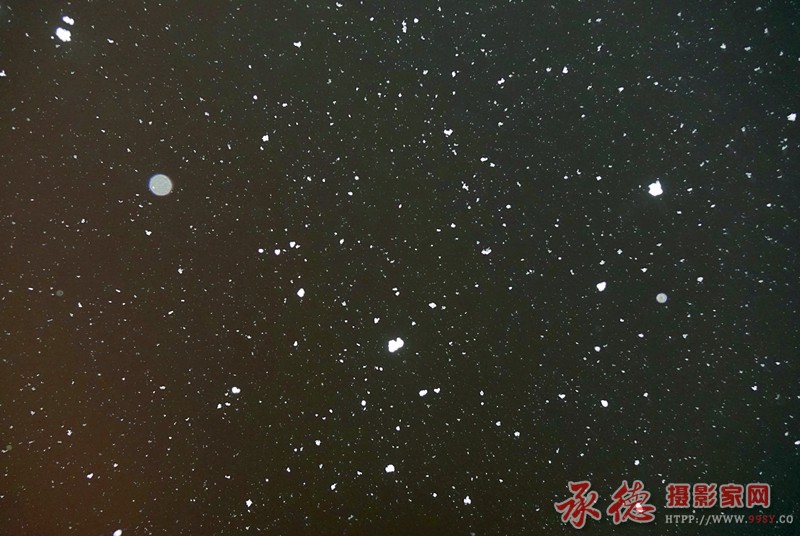 DSC06025_副本.jpg