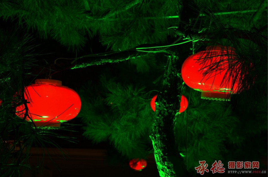 DSC_5703_看图王_meitu_1.jpg