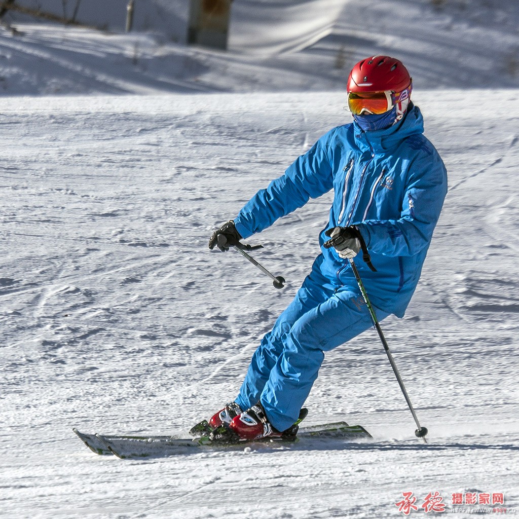 _MG_0509s.jpg