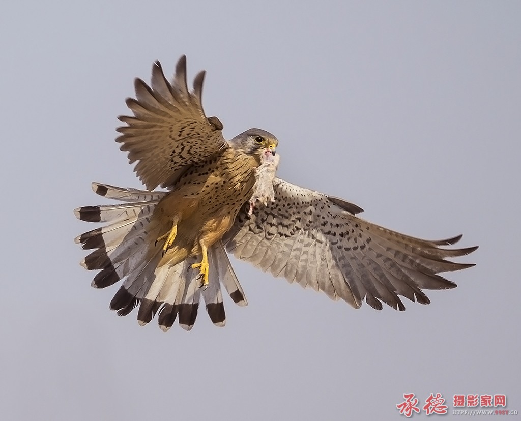 DO6V0136副本.jpg