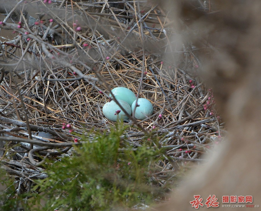 DSC_5122_副本.jpg