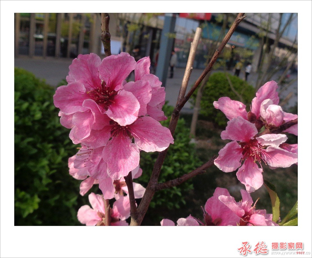 DSC08042_副本.jpg
