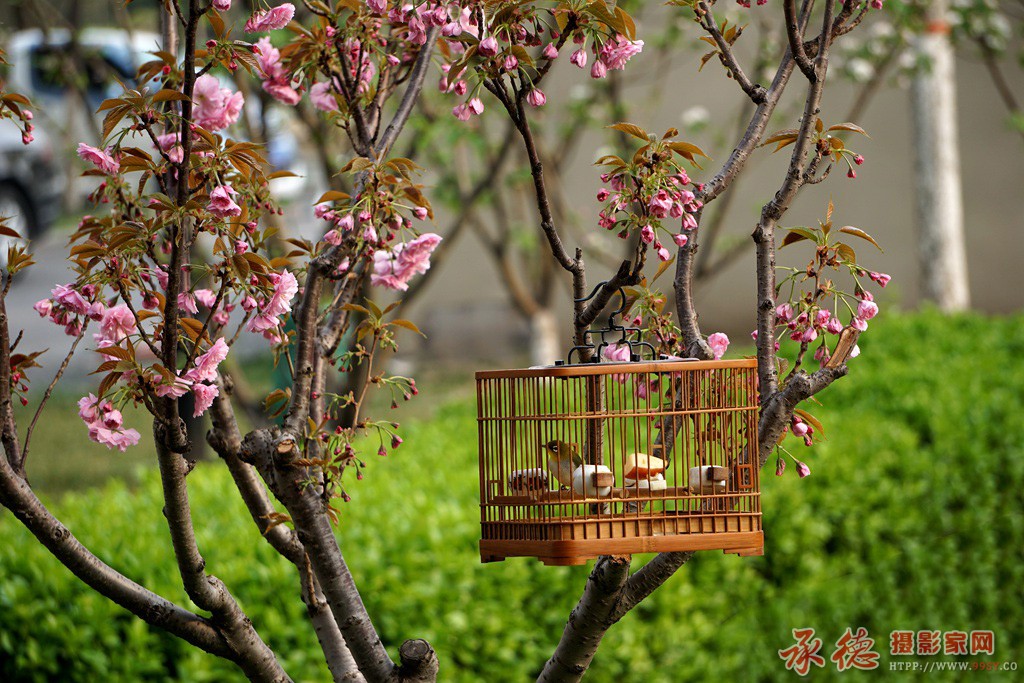 DSC00556_副本.jpg