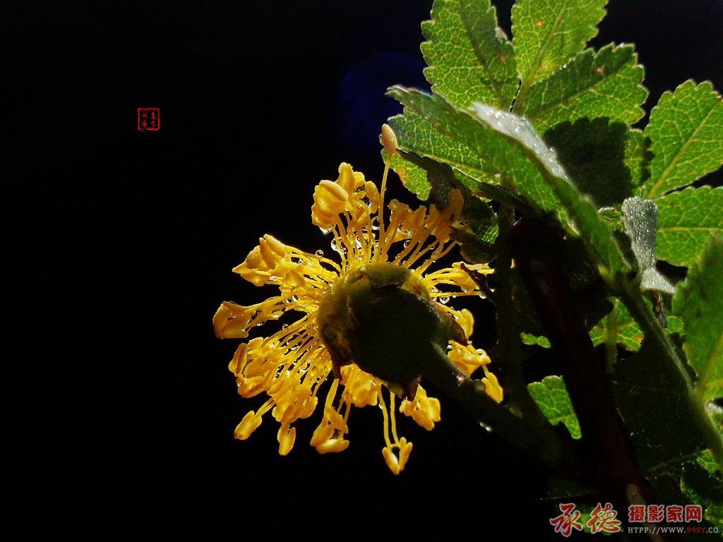 DSC09054.jpg