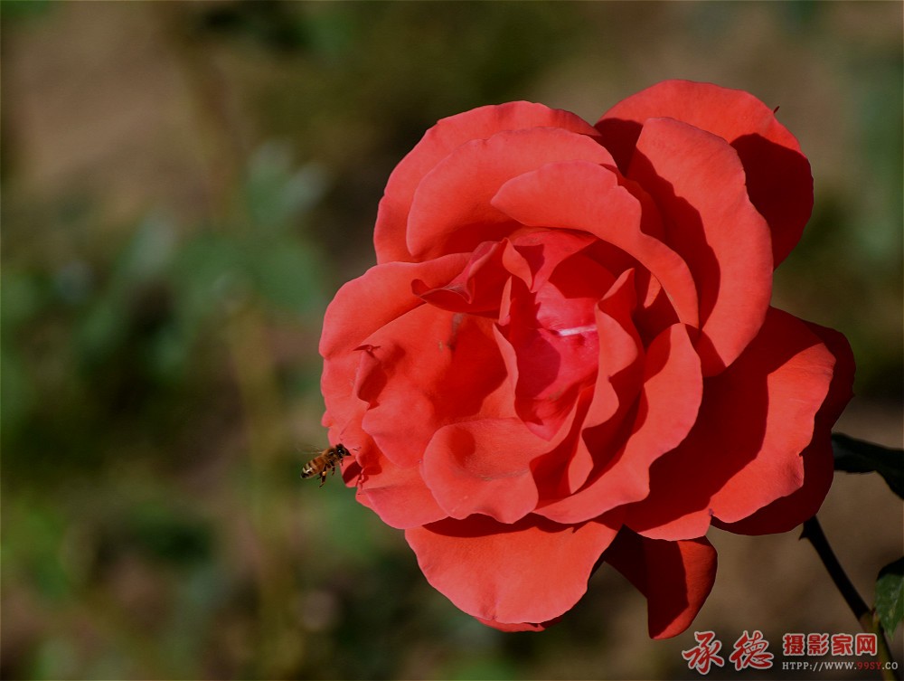 DSC_5803_看图王_meitu_17.jpg