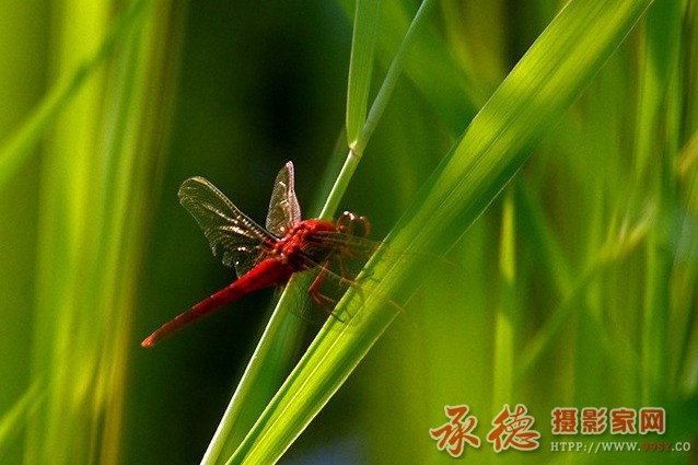 143812tag2gpff245qtnjz.jpg