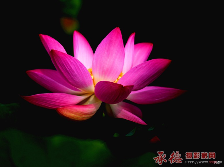 IMG_0053_副本.jpg