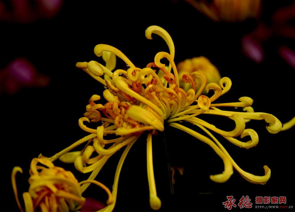 DSC_0330_看图王_副本_meitu_9_meitu_67_看图王.jpg