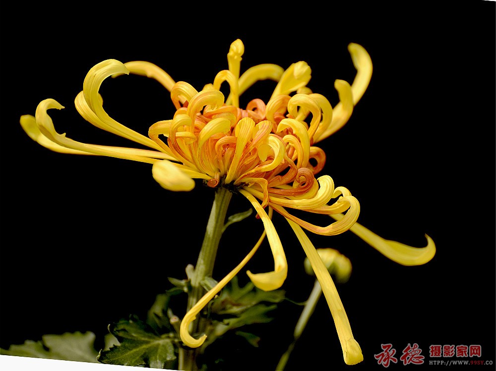 DSC_0536_看图王_副本_meitu_3.jpg