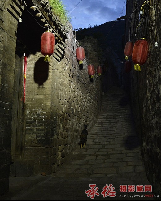 _DSC0975副本.jpg