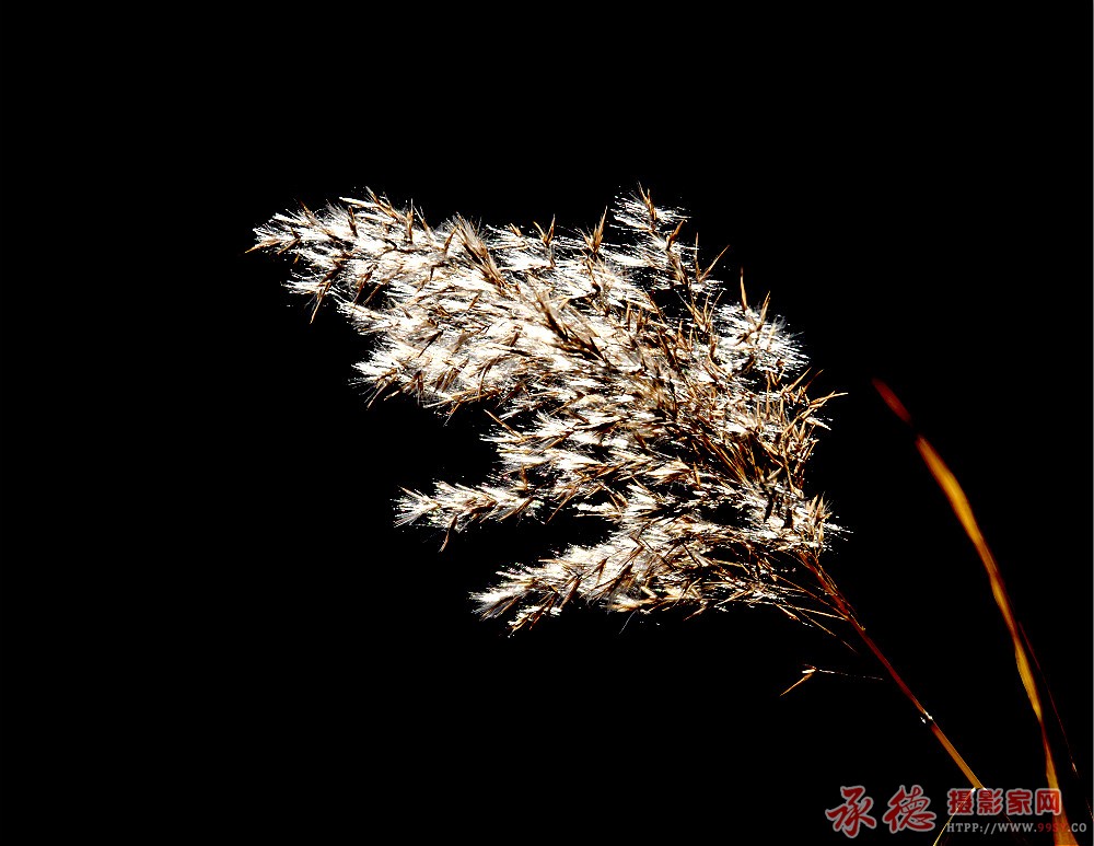 DSC_6194_看图王_副本_meitu_2.jpg