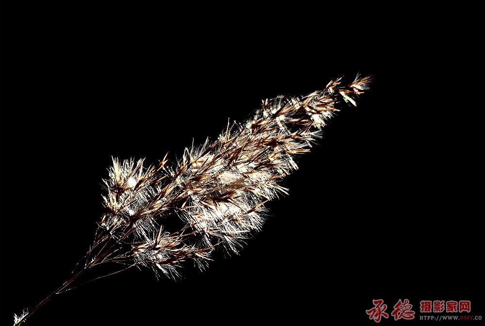 DSC_6238_看图王_副本_meitu_6.jpg