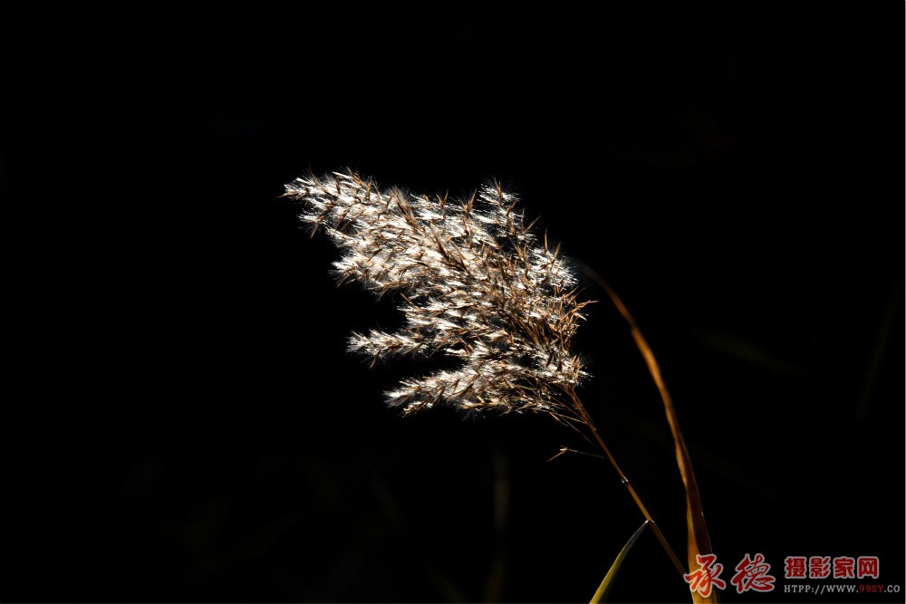 DSC_6194_看图王_meitu_1.jpg