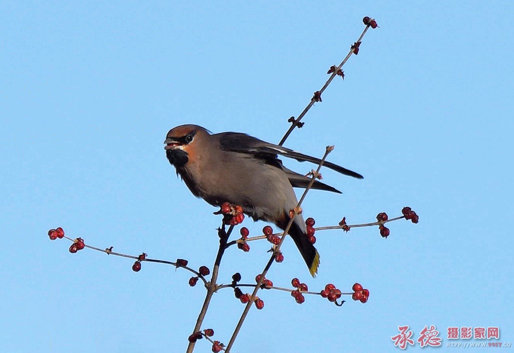 DSC_8710_副本 (2)_副本.jpg