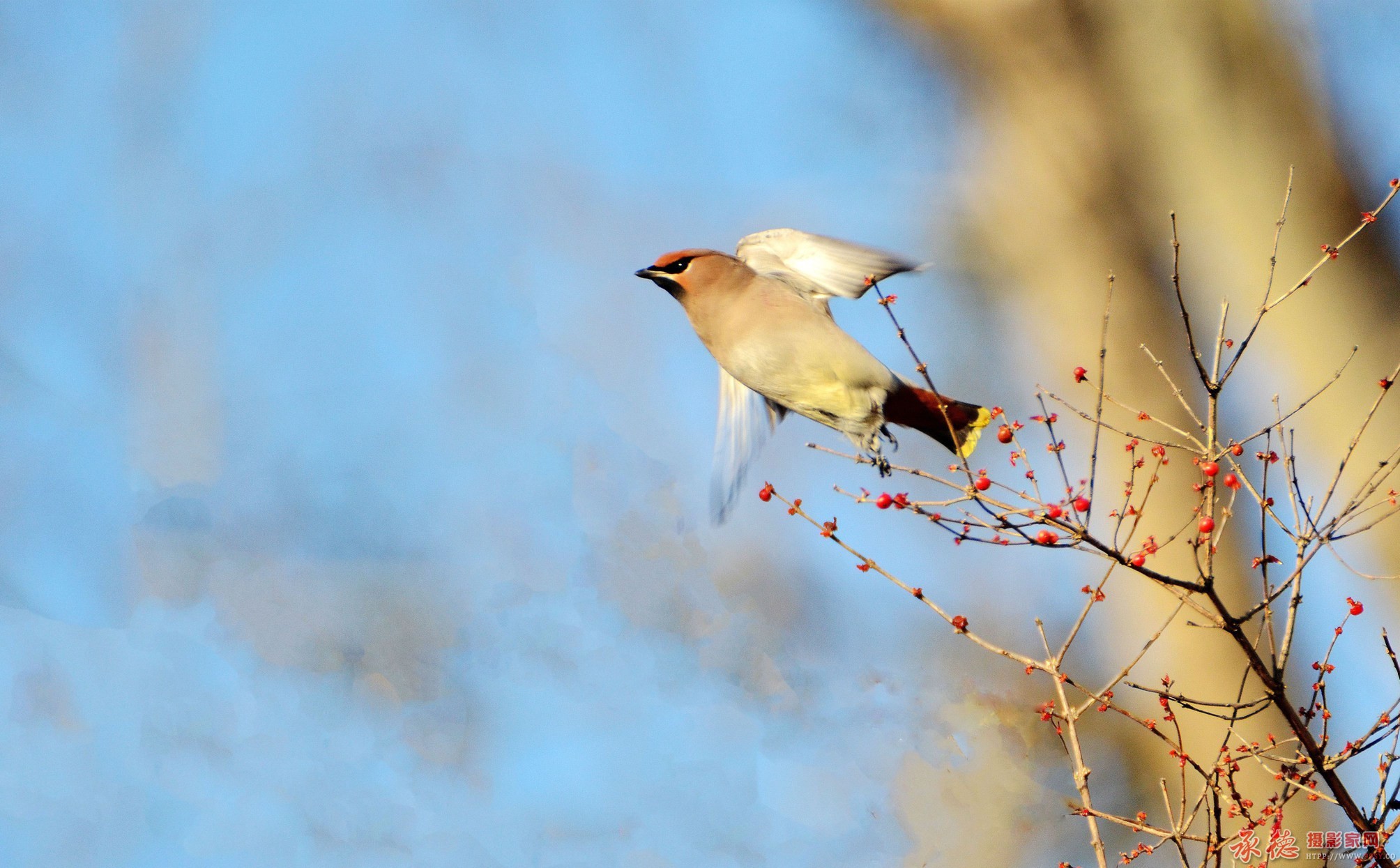 DSC_5931_副本.jpg