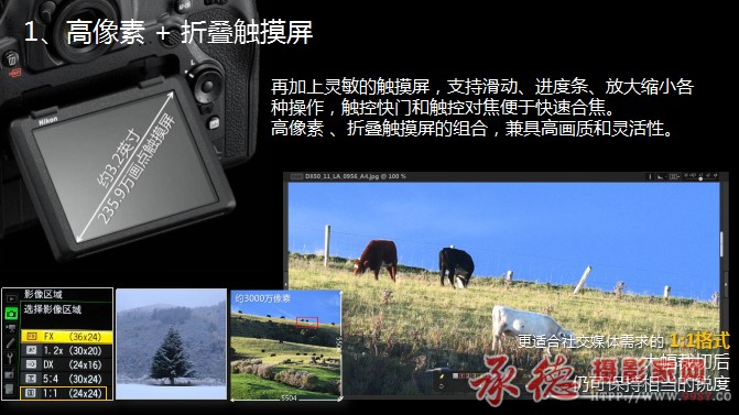 图片12 拷贝.jpg