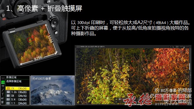 图片11 拷贝.jpg