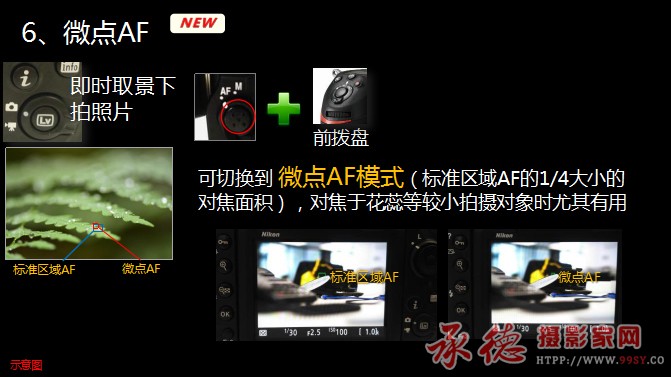 图片40 拷贝.jpg