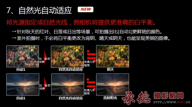 图片41 拷贝.jpg