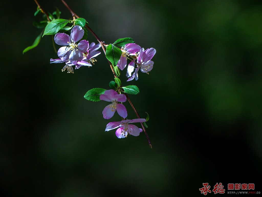 _DSC0508_副本.jpg