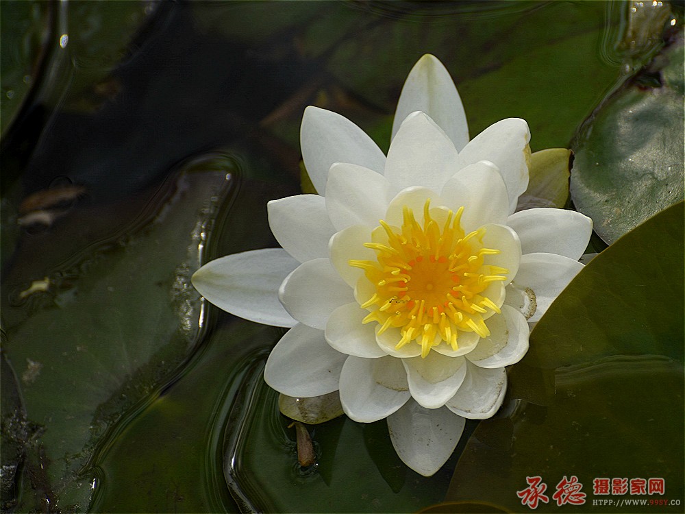 _DSC5357_看图王_meitu_19.jpg