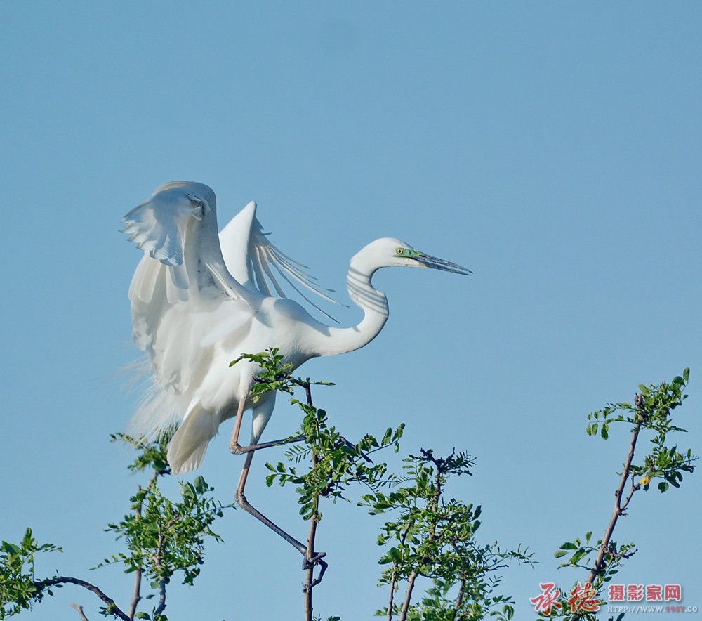 DSC_4078_副本.jpg