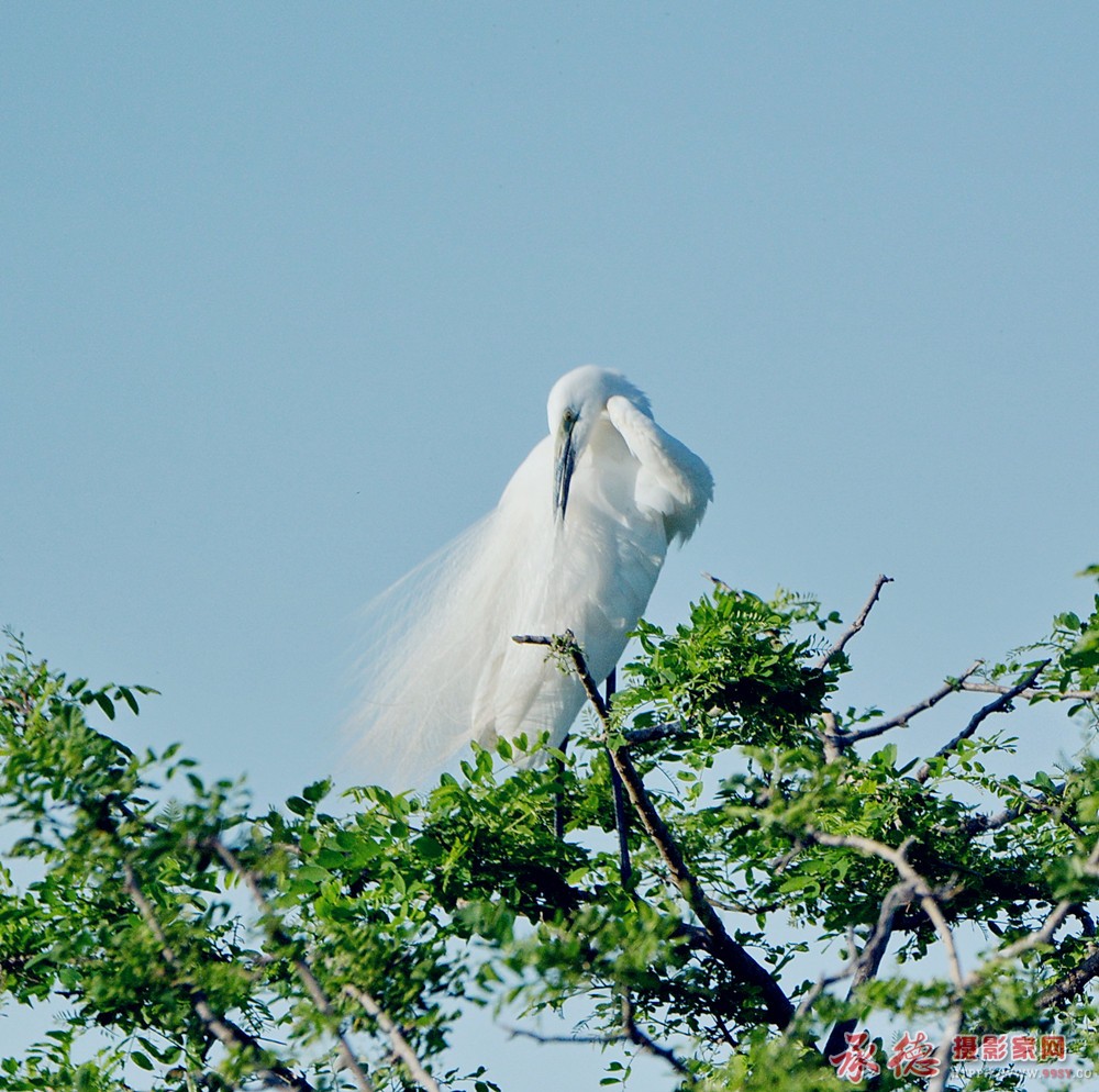DSC_4068_副本.jpg