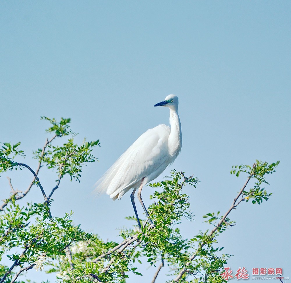 DSC_4107_副本.jpg