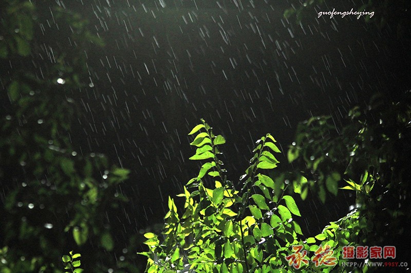 心雨1.jpg