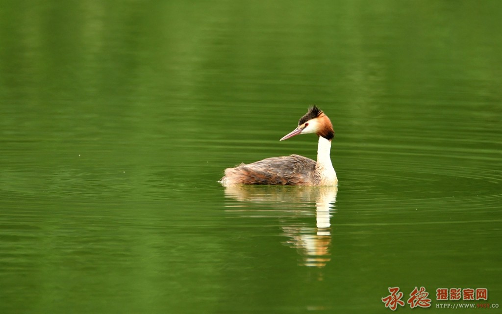 DSC_1730.JPG