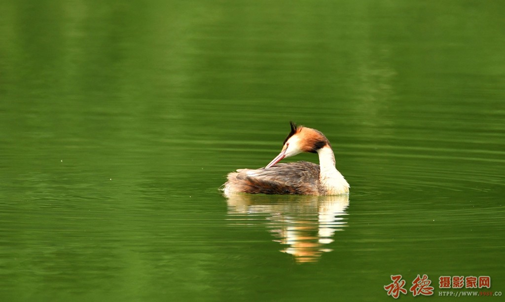 DSC_1731.JPG