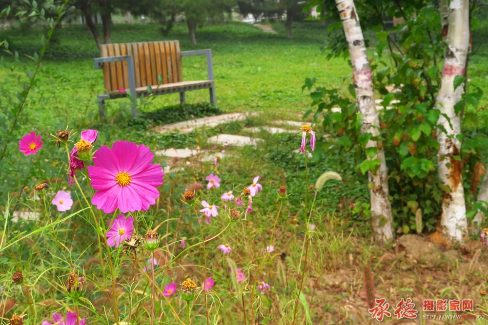 IMG_3494_副本.jpg
