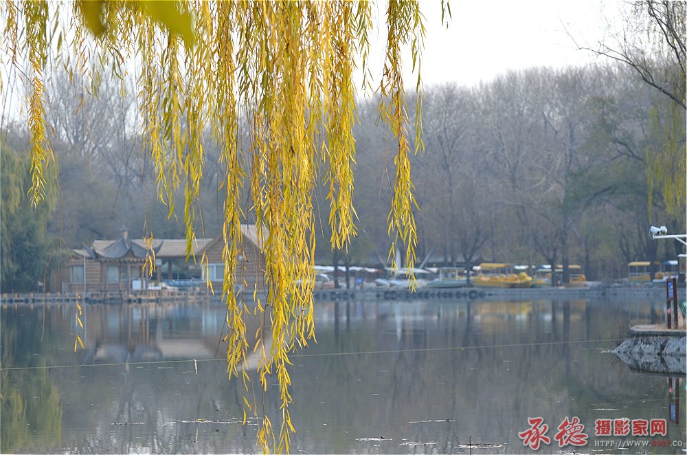 DSC_9495_看图王_meitu_37.jpg