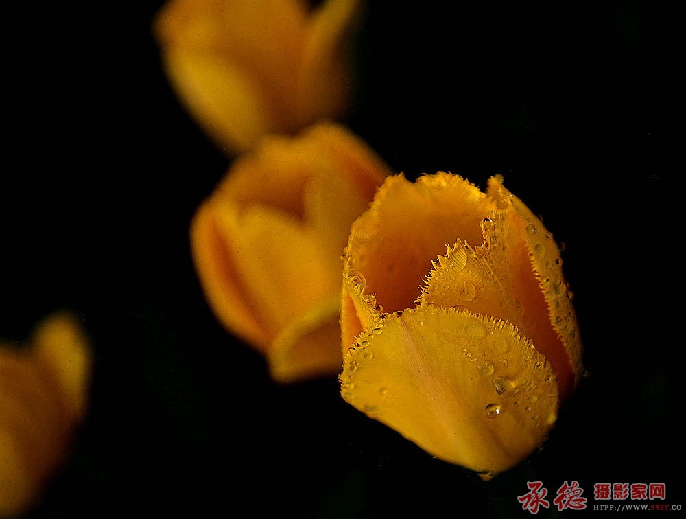 DSC_2644_看图王_看图王.jpg