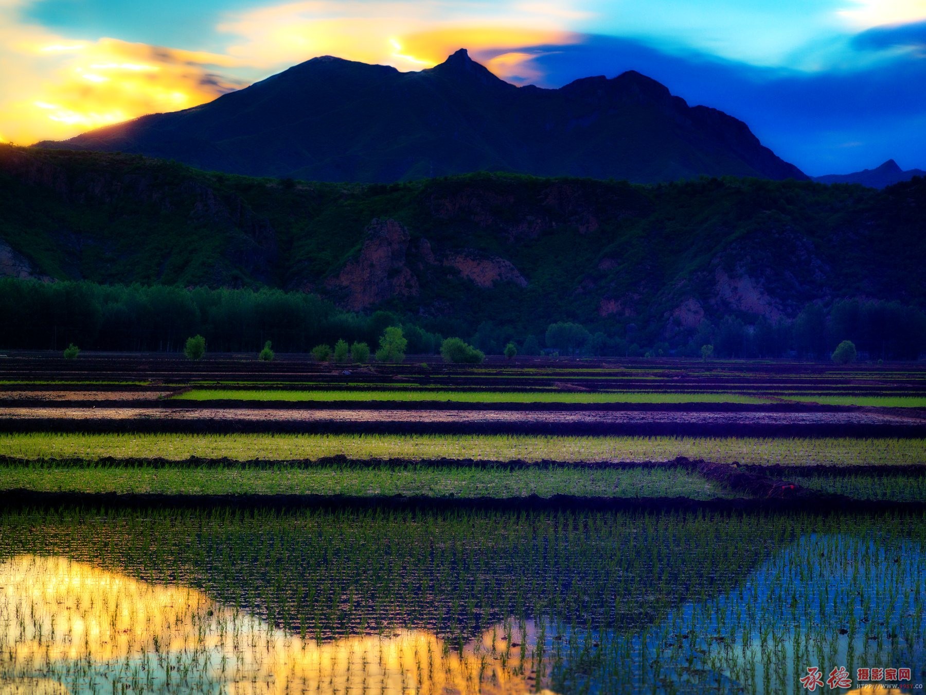 _B6A2360-恢复的_副本.jpg