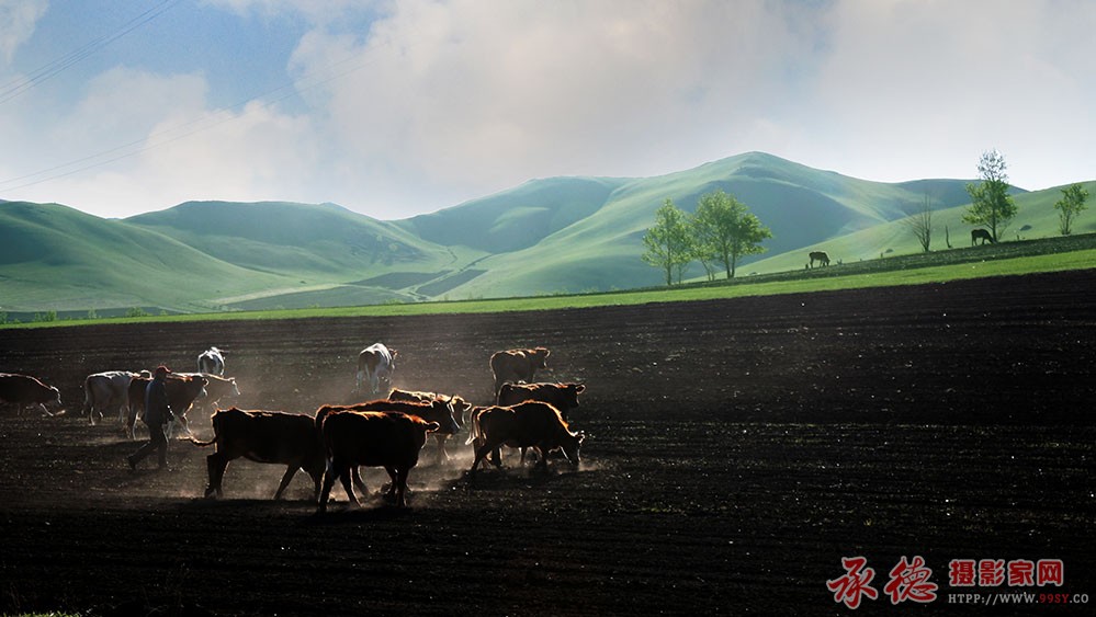 御道口片 (4).jpg