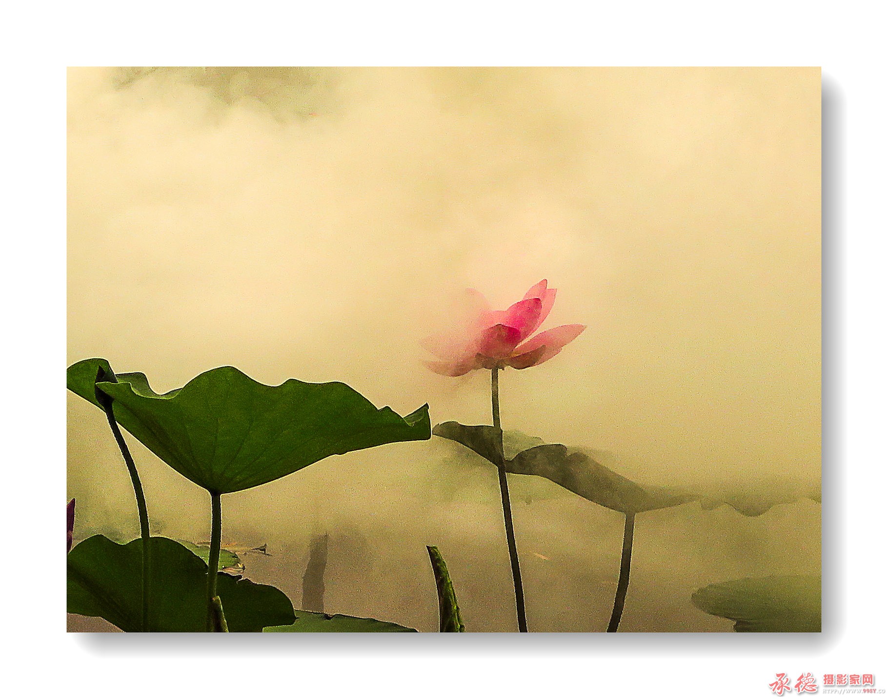 IMG_1968，_副本.jpg