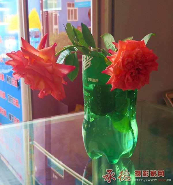 IMG_20190828_105257.jpg