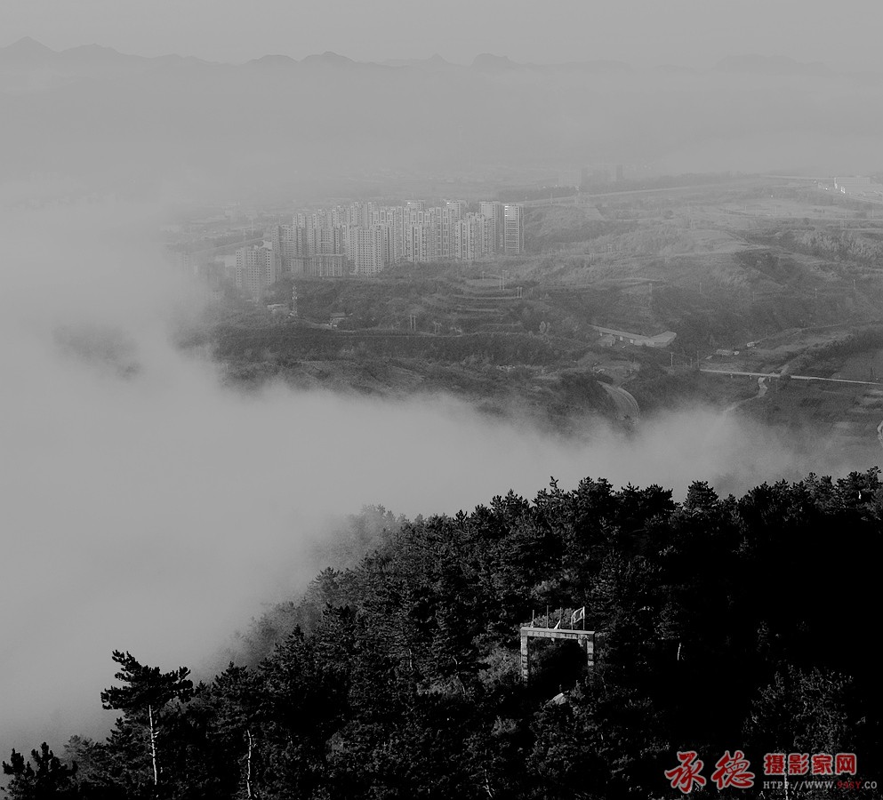 苔山晨雾 (4).JPG