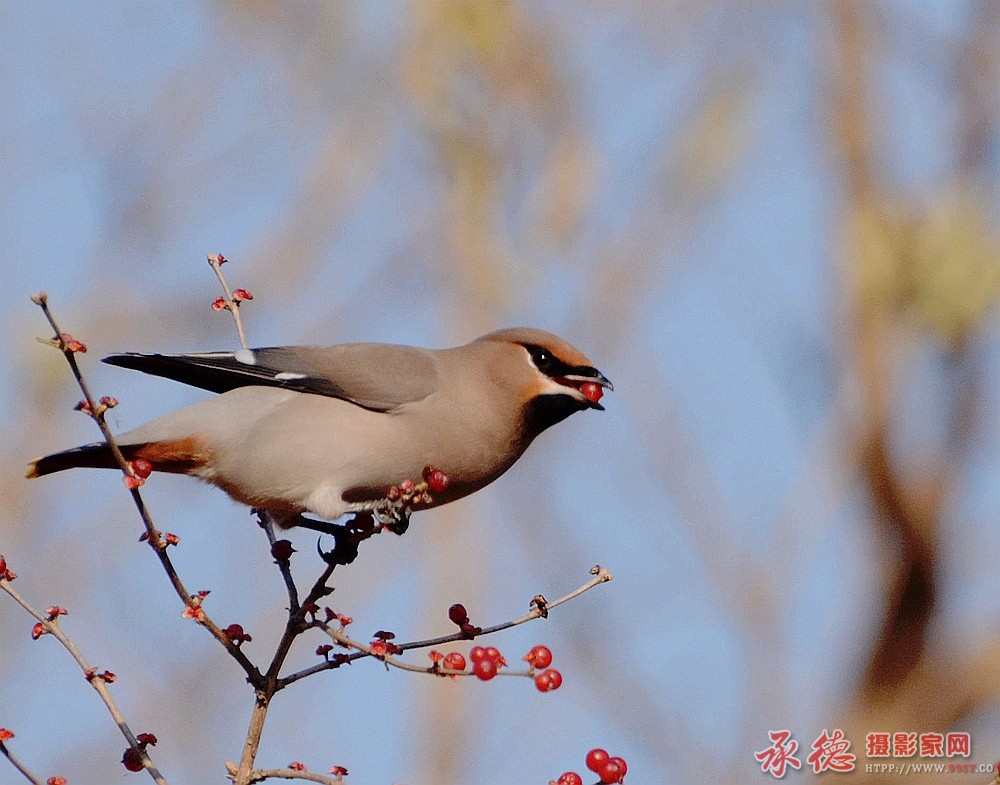 DSC_8177_看图王.jpg